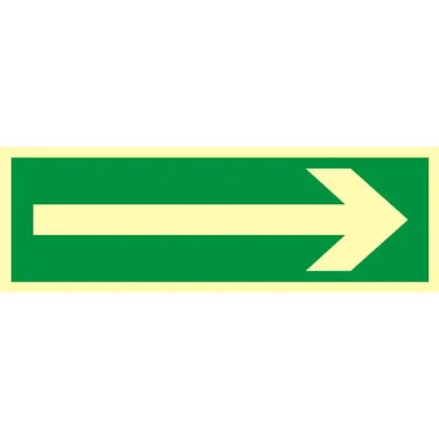 Znak TDC Kierunek Drogi Ewakuacyjnej /TDC