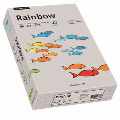 Papier Xero Rainbow A4 160 Szary R 96