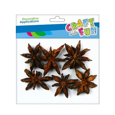 Ozdoba dekoracyjna Natura Anyż 10g /Craft With Fun 463842