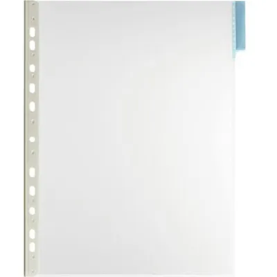 Panel Informacyjny Funktion A4 PVC Niebieski /Durable 560706