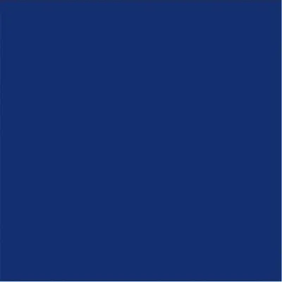 Serwetki 33x33cm A'20 (SDL111205) Navy Blue /Paw