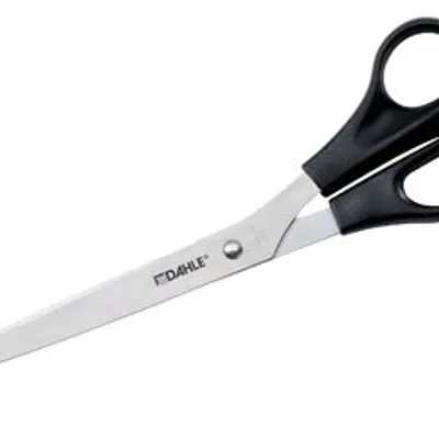 Nożyczki Dahle 25cm (10") 54610 Eco