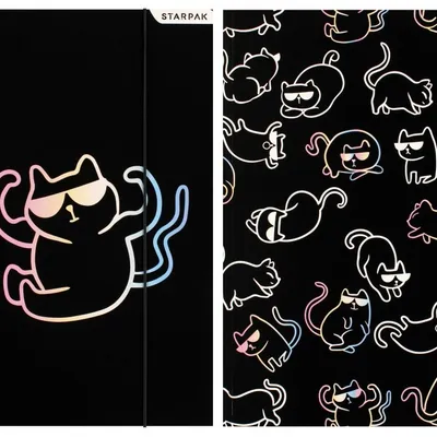 Teczka A4 z Gumką Kitty Black Holo /Starpak