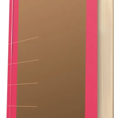 Notatnik Donau Life Organizer 165X230mm 80 Kart. Różowy