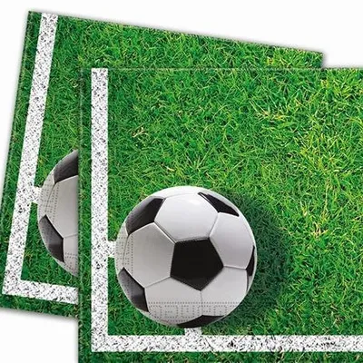 Serwetki papierowe "Football Party" 33x33cm 20szt. /GoDan