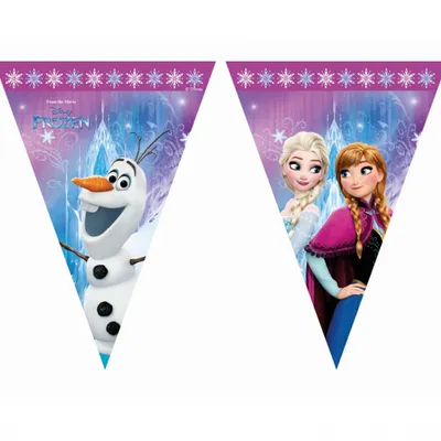 Banner "Frozen Northern Lights", flagi /GoDan
