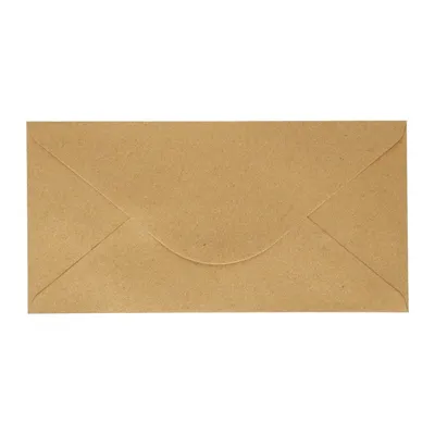 Koperta Ozdobna Kraft Ciemnobeżowy DL 120g 110x220mm 10szt. /Argo 280122