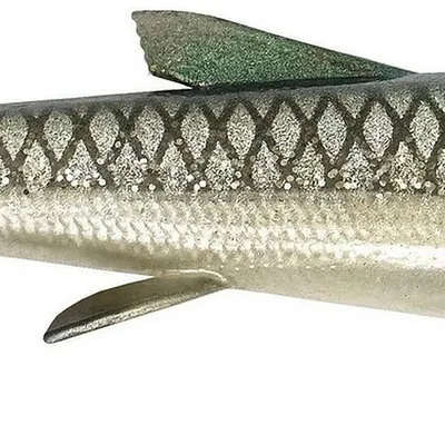Guma spinningowa Savage Gear 3D Whitefish Shad