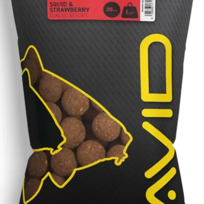 Kulki proteinowe Avid Classic