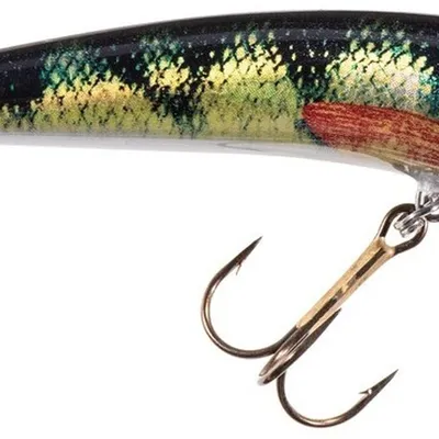 Wobler Jaxon Holo Select Ferox