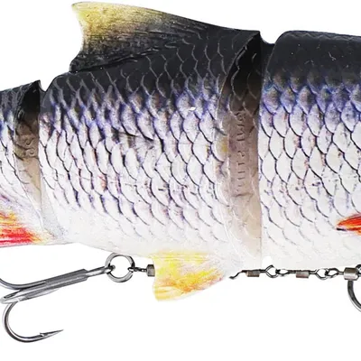 Guma spinningowa Westin Ricky The Roach Inline