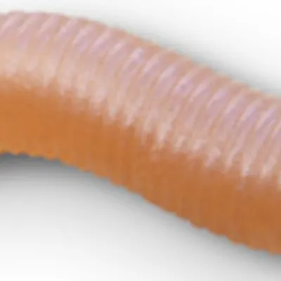 Guma spinningowa Delphin B! StinxWORM