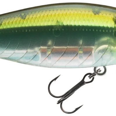 Wobler Daiwa Tightwave Shad