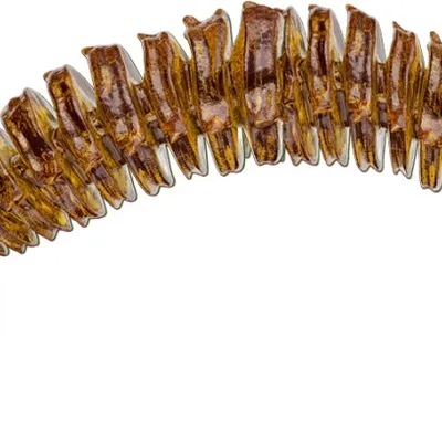Guma spinningowa QubiLures Liszaj Bigfatsnail