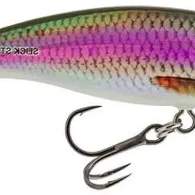 Wobler Salmo Slick Stick