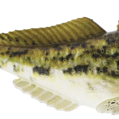 Guma spinningowa Westin Gunnar The Goby
