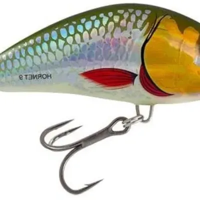 Wobler Salmo Hornet