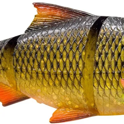 Guma spinningowa Savage Gear 3D LT Roach SS