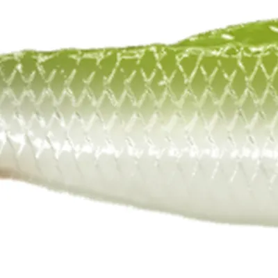 Guma spinningowa QubiLures Sardine Shad