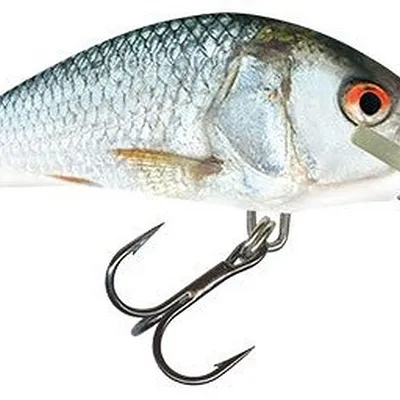 Wobler Salmo Hornet