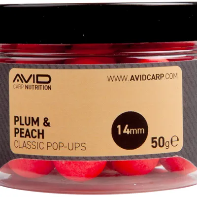 Kulki proteinowe Avid Classic