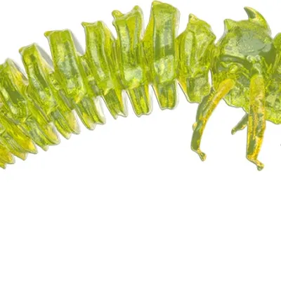 Guma spinningowa Qubi Lures Bigfatbug