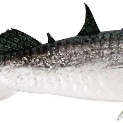 Guma Westin Stanley The Stickleback Shadtail