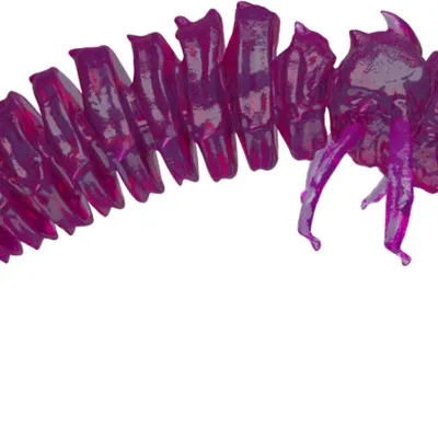 Guma spinningowa Qubi Lures Bigfatbug
