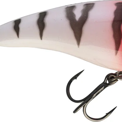 Wobler Westin Fatbite Crankbait