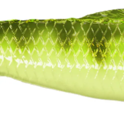 Guma spinningowa QubiLures Sardine Shad