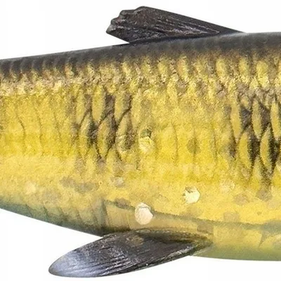 Guma spinningowa Savage Gear 3D Herring Shad V2