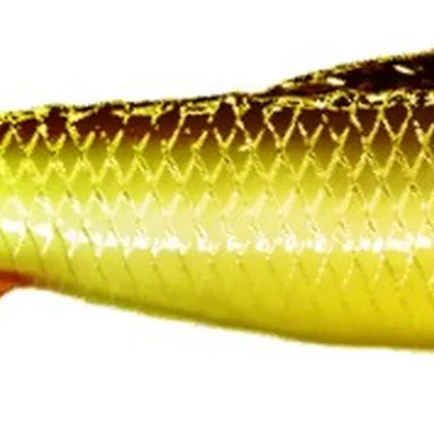 Guma spinningowa QubiLures Sardine Shad