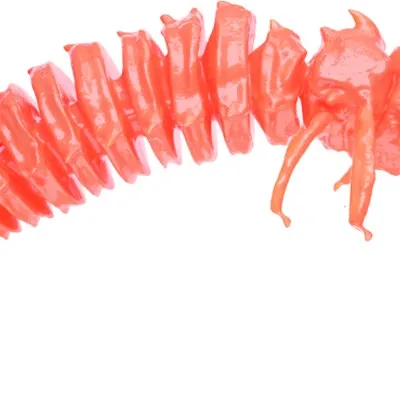 Guma spinningowa Qubi Lures Bigfatbug