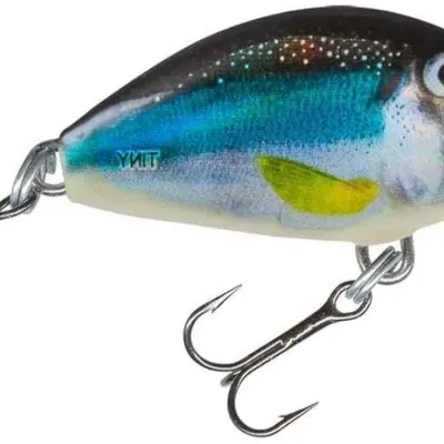Wobler Salmo Tiny