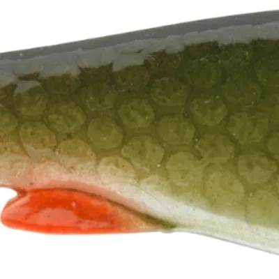 Guma spinningowa Daiwa Prorex Belly Shad