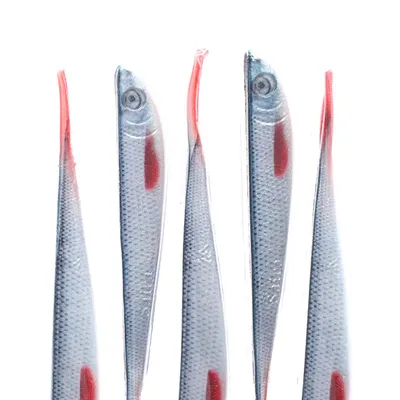 Guma spinningowa Mikado Saira