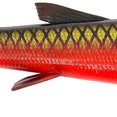 Guma spinningowa Savage Gear 3D Whitefish Shad