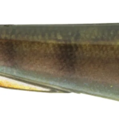 Guma spinningowa Daiwa Prorex Real Slim Shady Live