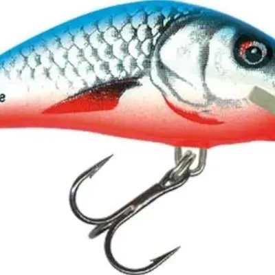 Wobler Salmo Hornet