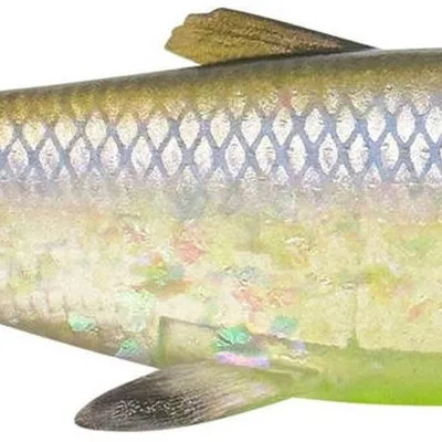 Guma spinningowa Savage Gear 3D Herring Shad V2