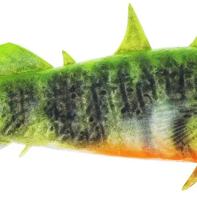 Guma Westin Stanley The Stickleback Shadtail