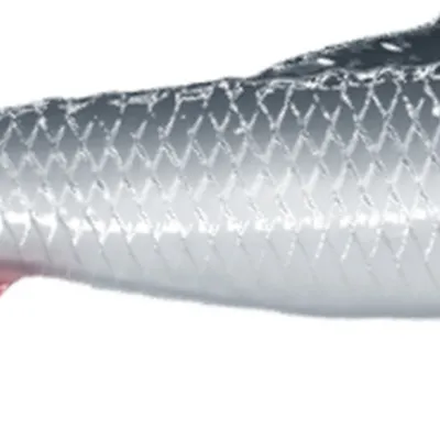 Guma spinningowa QubiLures Sardine Shad