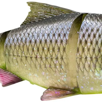 Guma spinningowa Savage Gear 3D LT Roach