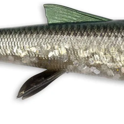 Guma spinningowa Savage Gear 3D Whitefish Shad