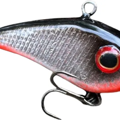 Cykada Great Fish Neon Cicada