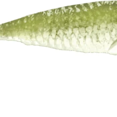 Guma spinningowa QubiLures Syrena Vert