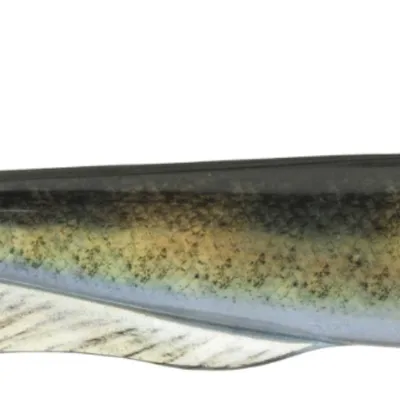 Guma spinningowa Daiwa Prorex V-Marley Pelagic Shad Live
