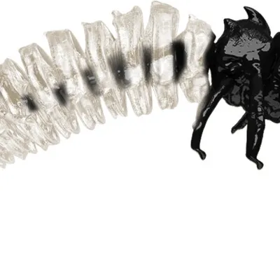 Guma spinningowa Qubi Lures Bigfatbug