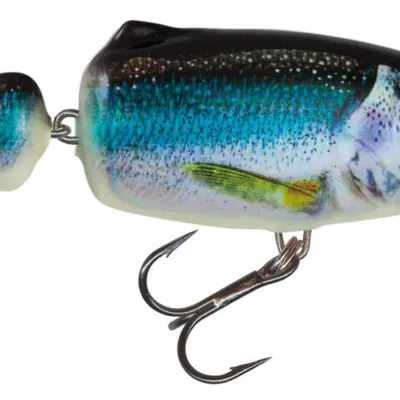 Wobler Salmo Frisky DR
