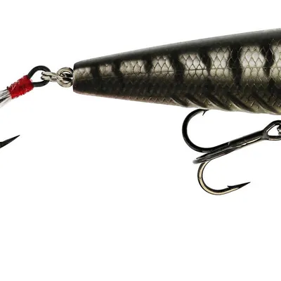 Wobler Westin Spot-On Popper